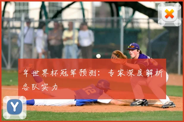年世界杯冠军预测:专家深度解析各队实力